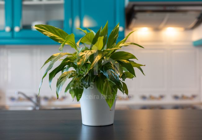 Apartamento em Ericeira - Casa do Pescador by ACasaDasCasas Apartamento em Ericeira - Casa do Pescador by ACasaDasCasas