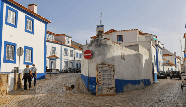 how-to-get-to-ericeira-from-lisbon